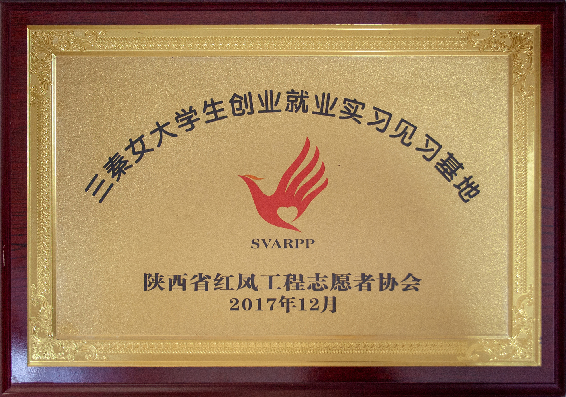 三秦女大学生创业就业见习实习基地